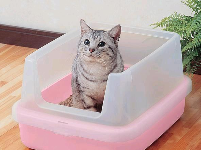 Удалить мочевой камень в кошачьем лотке: чем мыть лоток кота?