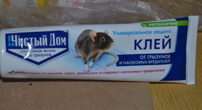 Чем отмыть клей для мышей от кота
