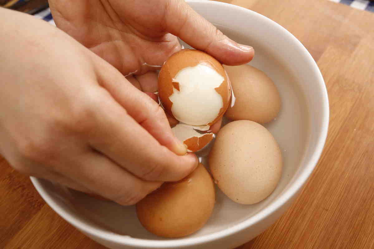 Теплые яички. Яйцо. Вареные яйца. Что приготовить с яйцами. Яйцо куриное.
