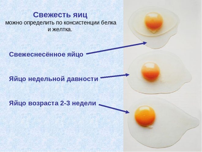 Свежесть яиц