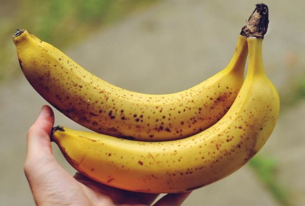 Из-за сложностей транспортировки в магазин часто привозят бананы зелеными, незрелыми