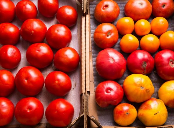 Для дозревания пригодны помидоры разной степени зрелости без наличия повреждений