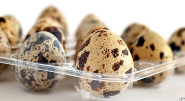 Яйца сохраняют полезные качества приблизительно два месяца