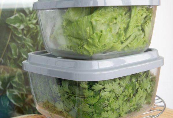 Чаще всего принесенные зелень хранят в холодильнике