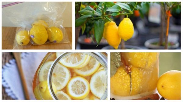 Способы длительного хранения лимонов