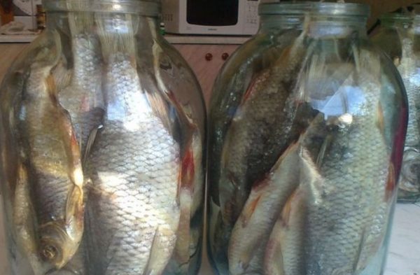 Хранение вяленой рыбы в стеклянной таре