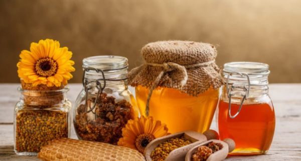 Прополис (пчелиный клей) – доступное средство народной медицины