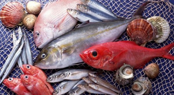 Срок хранения и условия хранения рыбы по санитарным нормам