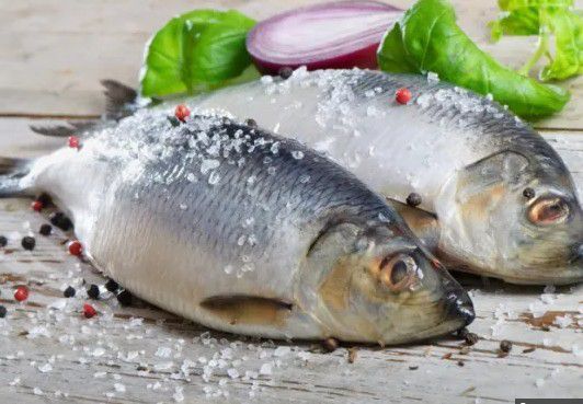 Сколько можно хранить размороженную рыбу в холодильнике