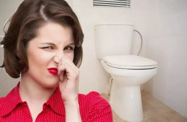 Запах в туалете, как избавиться: основные причины и эффективные способы устранения