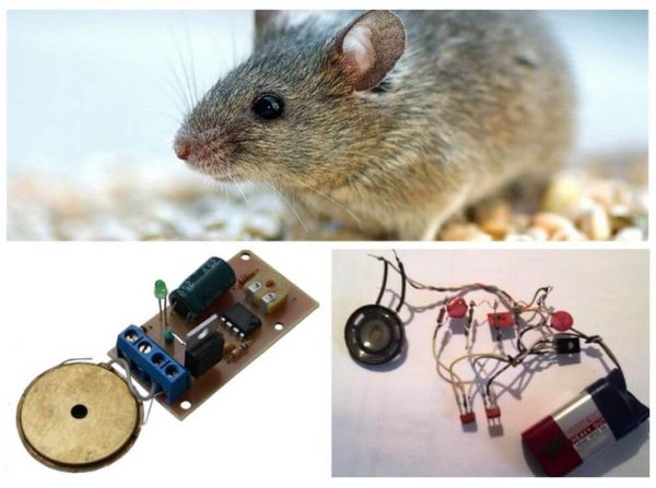 Ультразвуковые устройства от мышей и крыс